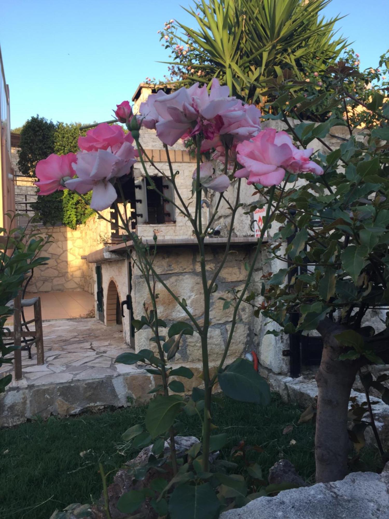 Meliades Villas Agia Marina  ภายนอก รูปภาพ